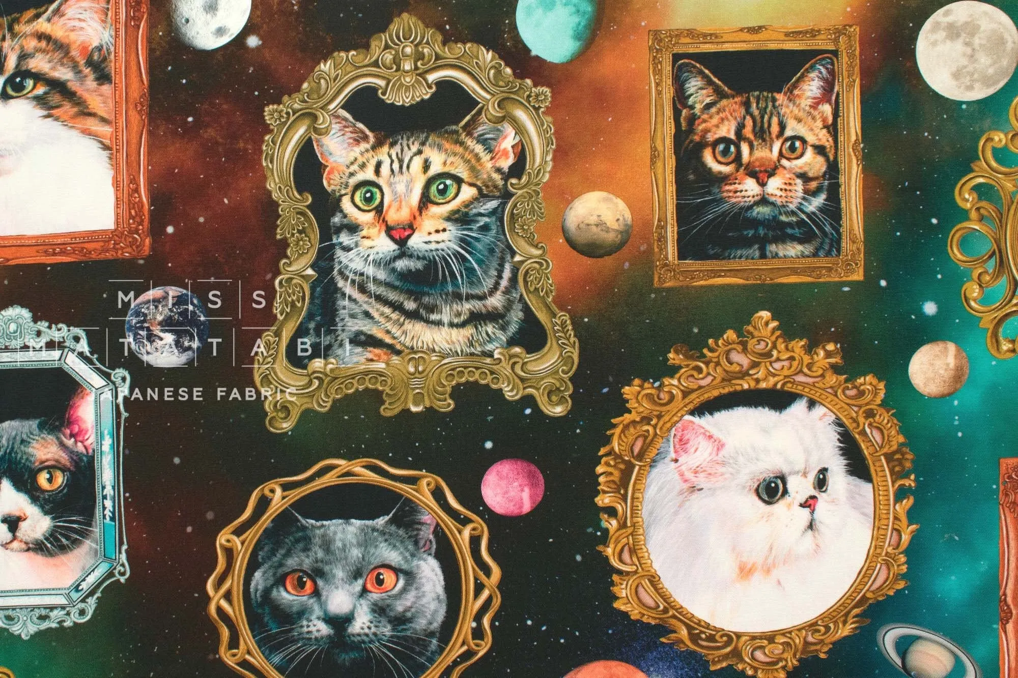 Cosmic Cats