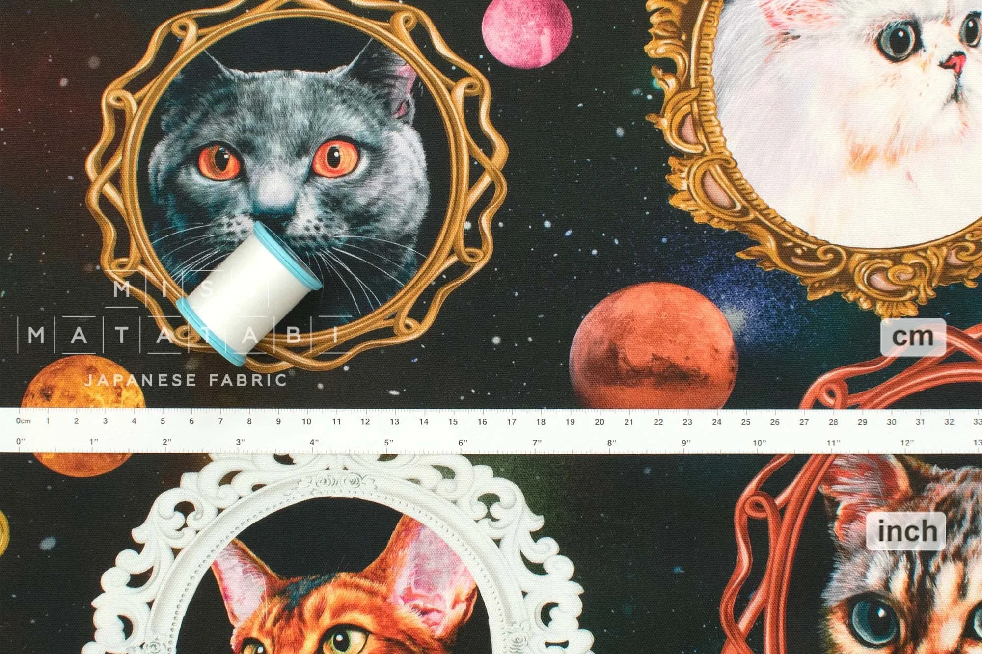 Cosmic Cats