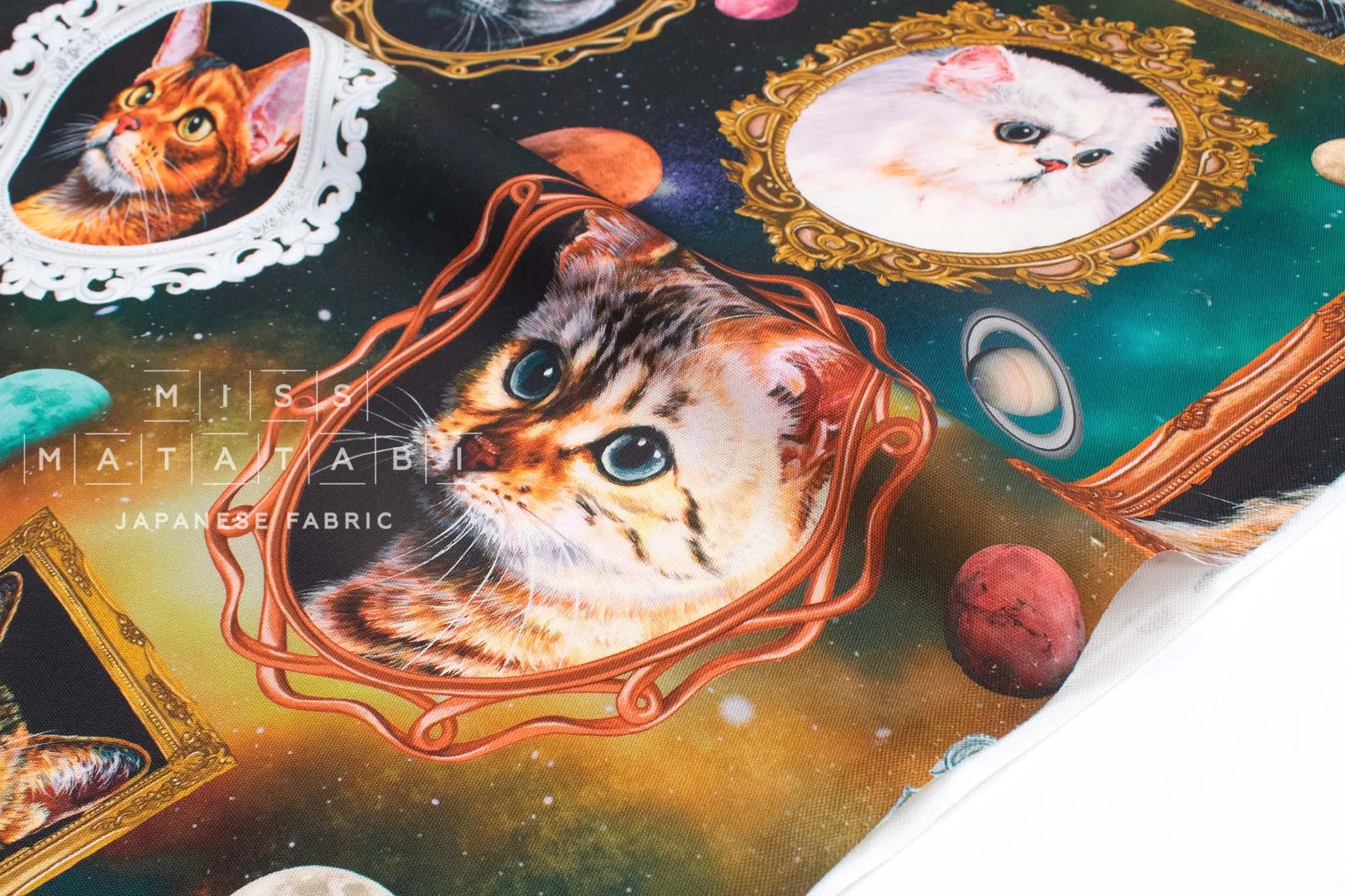 Cosmic Cats