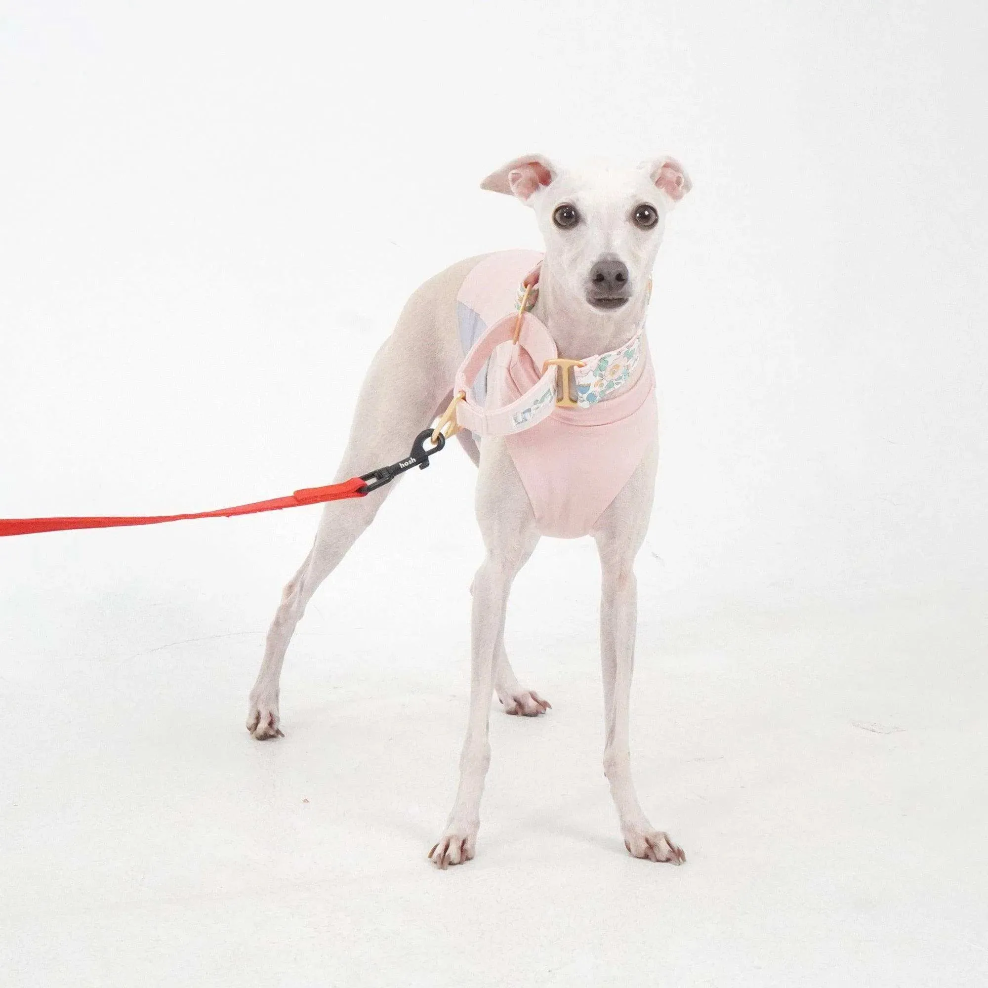 Flower Print Martingale Collar | Pink