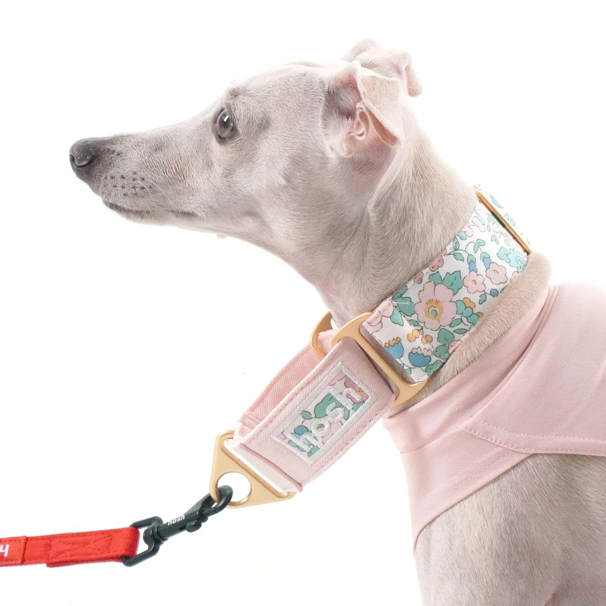 Flower Print Martingale Collar | Pink