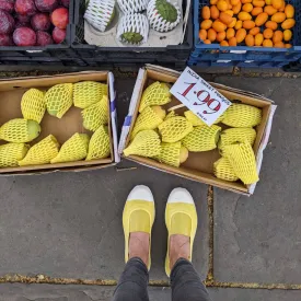 Yellow Slip On Cotton Plimsolls